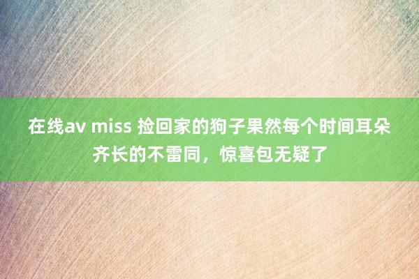 在线av miss 捡回家的狗子果然每个时间耳朵齐长的不雷同，惊喜包无疑了