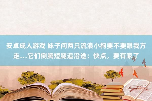 安卓成人游戏 妹子问两只流浪小狗要不要跟我方走…它们倒腾短腿追沿途：快点，要有家了