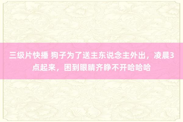 三级片快播 狗子为了送主东说念主外出，凌晨3点起来，困到眼睛齐睁不开哈哈哈