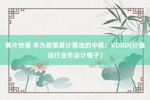 黄片快播 华为政策算计落地的中枢：VDBD(价值运行业务设计模子）