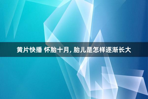 黄片快播 怀胎十月, 胎儿是怎样逐渐长大