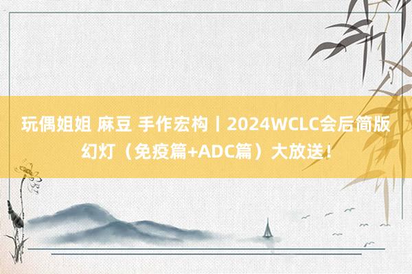 玩偶姐姐 麻豆 手作宏构丨2024WCLC会后简版幻灯（免疫篇+ADC篇）大放送！