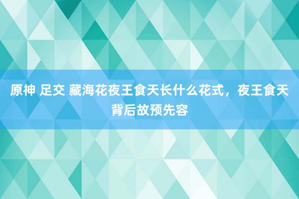 原神 足交 藏海花夜王食天长什么花式，夜王食天背后故预先容