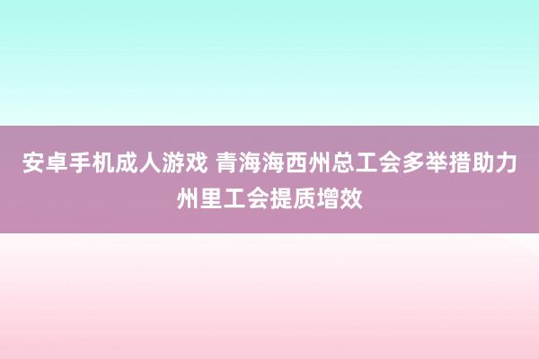 安卓手机成人游戏 青海海西州总工会多举措助力州里工会提质增效