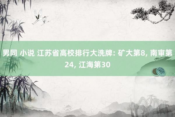 男同 小说 江苏省高校排行大洗牌: 矿大第8， 南审第24， 江海第30