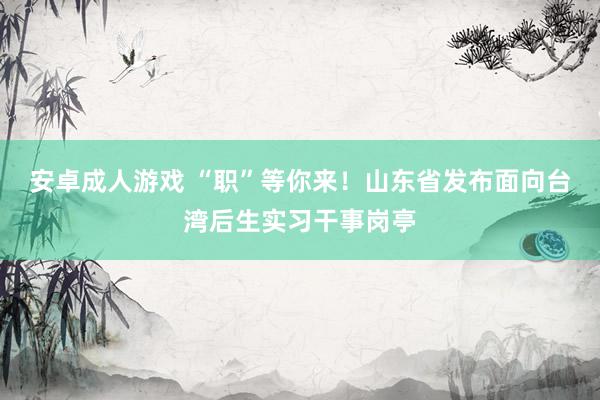 安卓成人游戏 “职”等你来！山东省发布面向台湾后生实习干事岗亭