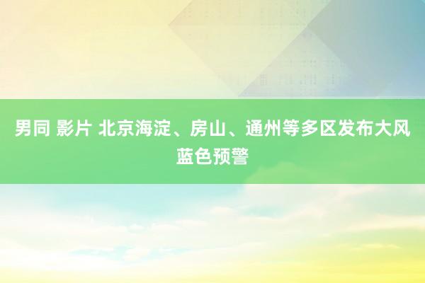 男同 影片 北京海淀、房山、通州等多区发布大风蓝色预警