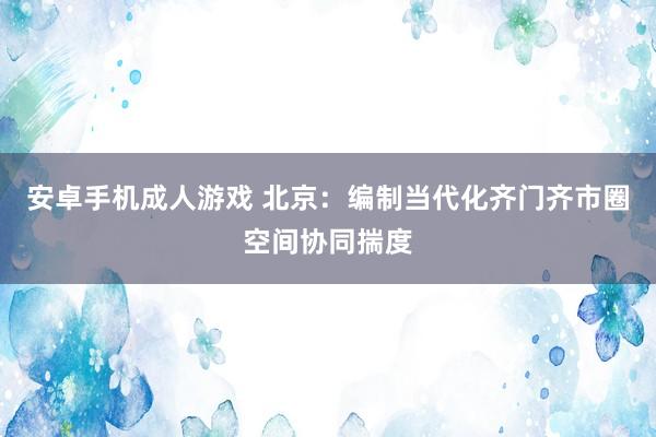 安卓手机成人游戏 北京：编制当代化齐门齐市圈空间协同揣度