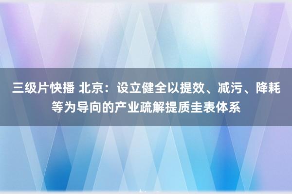 三级片快播 北京：设立健全以提效、减污、降耗等为导向的产业疏解提质圭表体系