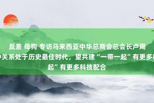 反差 母狗 专访马来西亚中华总商会总会长卢周密：马中关系处于历史最佳时代，望共建“一带一起”有更多科技配合