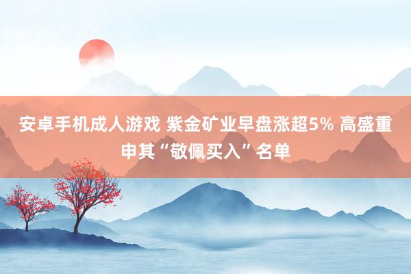 安卓手机成人游戏 紫金矿业早盘涨超5% 高盛重申其“敬佩买入”名单