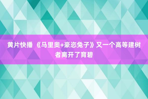 黄片快播 《马里奥+豪恣兔子》又一个高等建树者离开了育碧