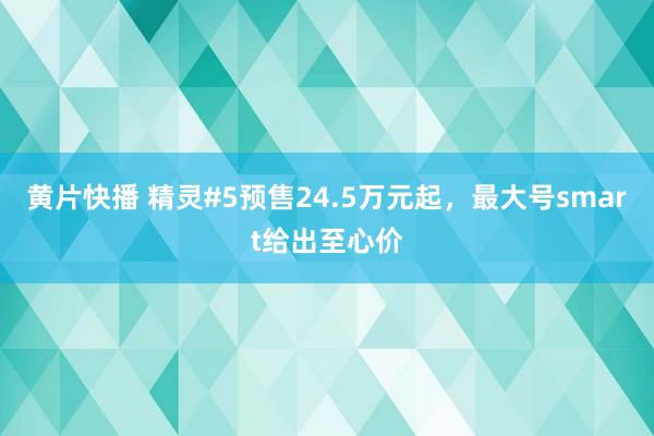 黄片快播 精灵#5预售24.5万元起，最大号smart给出至心价