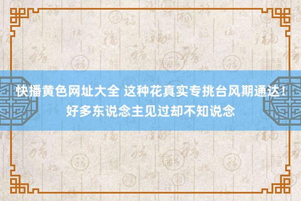 快播黄色网址大全 这种花真实专挑台风期通达！好多东说念主见过却不知说念