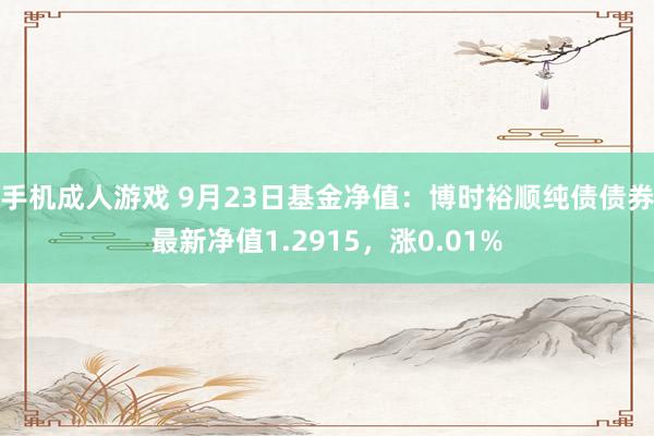 手机成人游戏 9月23日基金净值：博时裕顺纯债债券最新净值1.2915，涨0.01%