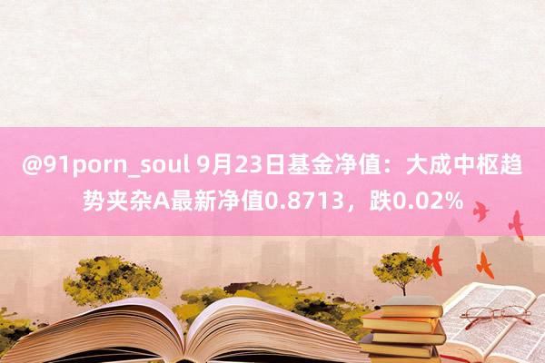 @91porn_soul 9月23日基金净值：大成中枢趋势夹杂A最新净值0.8713，跌0.02%