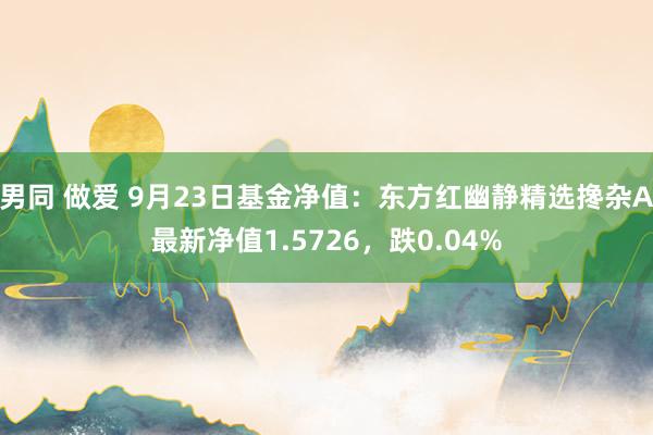 男同 做爱 9月23日基金净值：东方红幽静精选搀杂A最新净值1.5726，跌0.04%