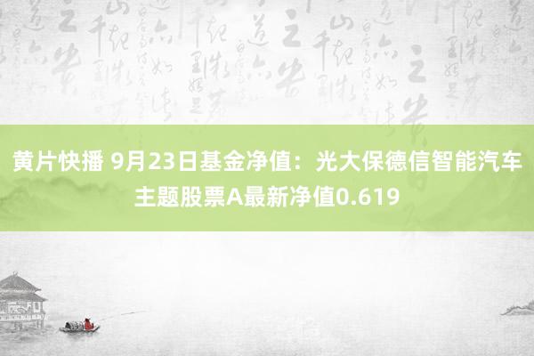 黄片快播 9月23日基金净值：光大保德信智能汽车主题股票A最新净值0.619