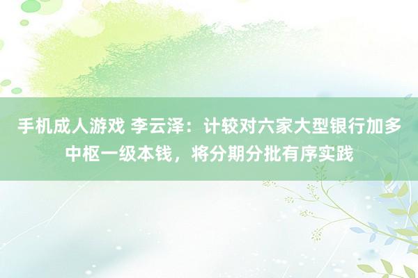 手机成人游戏 李云泽：计较对六家大型银行加多中枢一级本钱，将分期分批有序实践