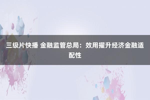 三级片快播 金融监管总局：效用擢升经济金融适配性