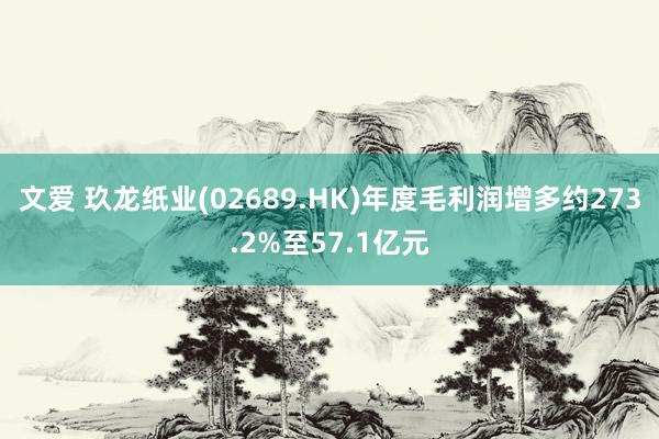 文爱 玖龙纸业(02689.HK)年度毛利润增多约273.2%至57.1亿元