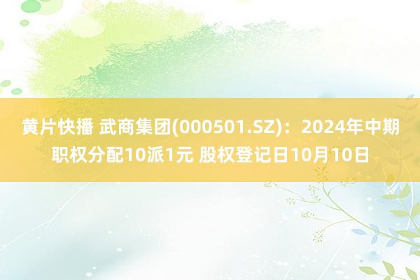 黄片快播 武商集团(000501.SZ)：2024年中期职权分配10派1元 股权登记日10月10日