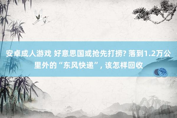 安卓成人游戏 好意思国或抢先打捞? 落到1.2万公里外的“东风快递”， 该怎样回收