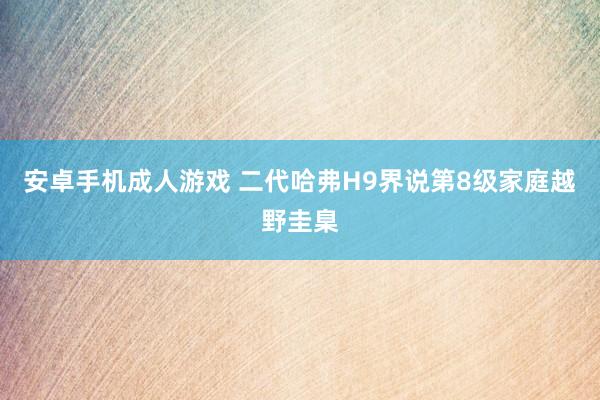 安卓手机成人游戏 二代哈弗H9界说第8级家庭越野圭臬