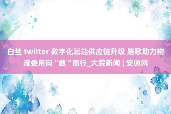 白丝 twitter 数字化赋能供应链升级 路歌助力物流委用向“数“而行_大皖新闻 | 安徽网