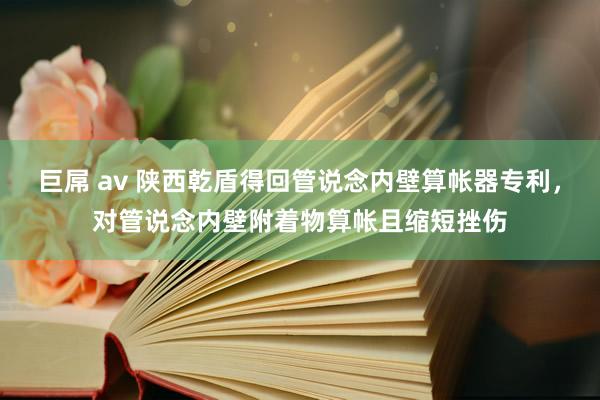 巨屌 av 陕西乾盾得回管说念内壁算帐器专利，对管说念内壁附着物算帐且缩短挫伤