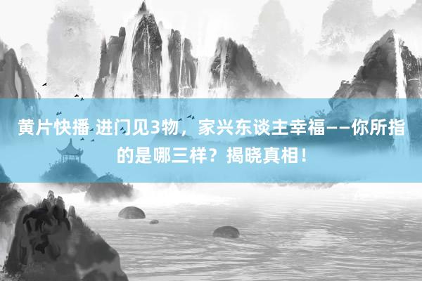 黄片快播 进门见3物，家兴东谈主幸福——你所指的是哪三样？揭晓真相！