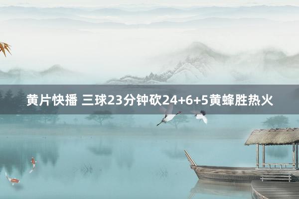 黄片快播 三球23分钟砍24+6+5黄蜂胜热火