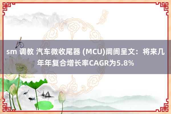 sm 调教 汽车微收尾器 (MCU)阛阓呈文：将来几年年复合增长率CAGR为5.8%