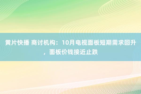 黄片快播 商讨机构：10月电视面板短期需求回升，面板价钱接近止跌