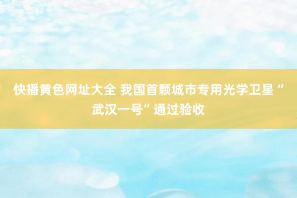 快播黄色网址大全 我国首颗城市专用光学卫星“武汉一号”通过验收