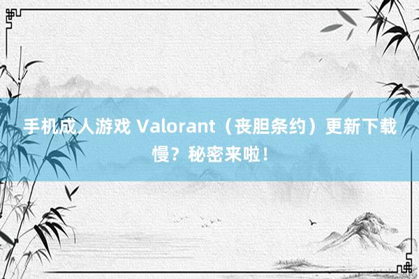 手机成人游戏 Valorant（丧胆条约）更新下载慢？秘密来啦！