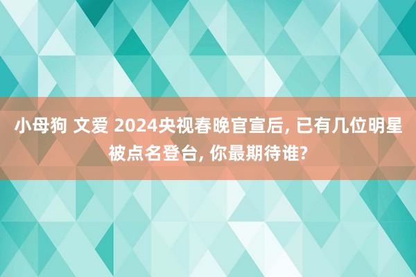 小母狗 文爱 2024央视春晚官宣后， 已有几位明星被点名登台， 你最期待谁?