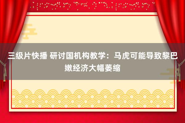 三级片快播 研讨国机构教学：马虎可能导致黎巴嫩经济大幅萎缩