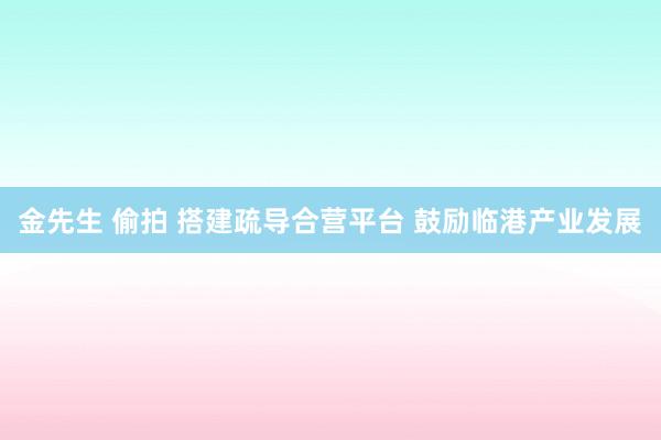 金先生 偷拍 搭建疏导合营平台 鼓励临港产业发展