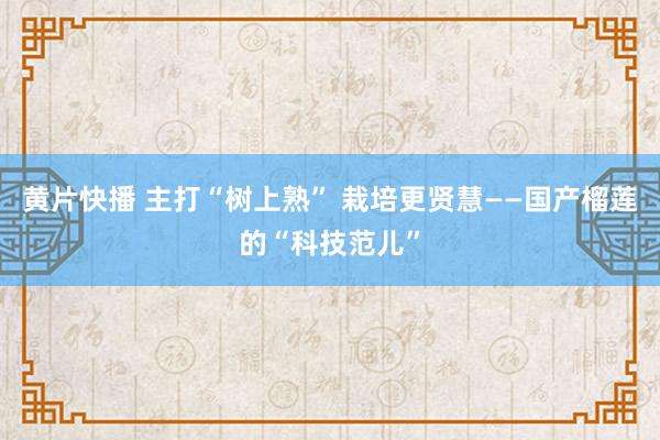 黄片快播 主打“树上熟” 栽培更贤慧——国产榴莲的“科技范儿”