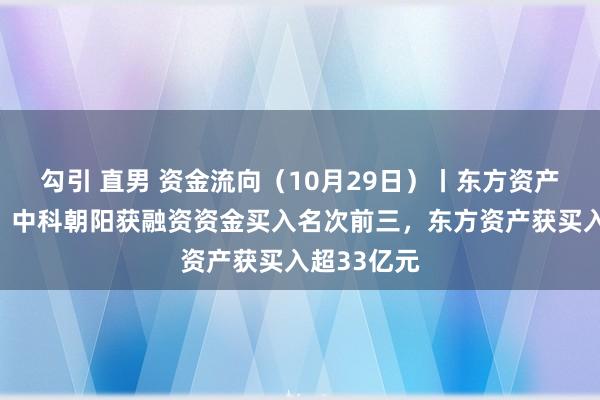 勾引 直男 资金流向（10月29日）丨东方资产、赛力斯、中科朝阳获融资资金买入名次前三，东方资产获买入超33亿元