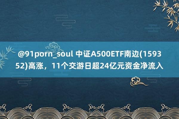 @91porn_soul 中证A500ETF南边(159352)高涨，11个交游日超24亿元资金净流入