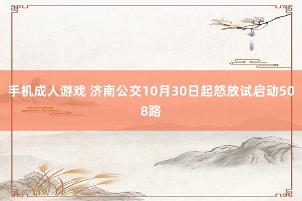 手机成人游戏 济南公交10月30日起怒放试启动508路