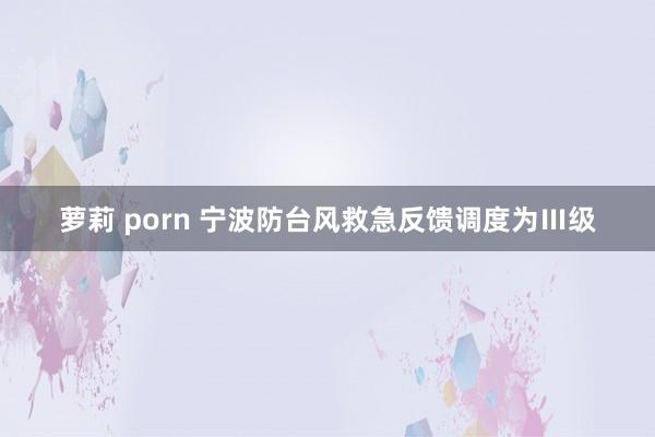 萝莉 porn 宁波防台风救急反馈调度为Ⅲ级