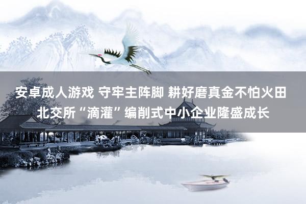 安卓成人游戏 守牢主阵脚 耕好磨真金不怕火田 北交所“滴灌”编削式中小企业隆盛成长