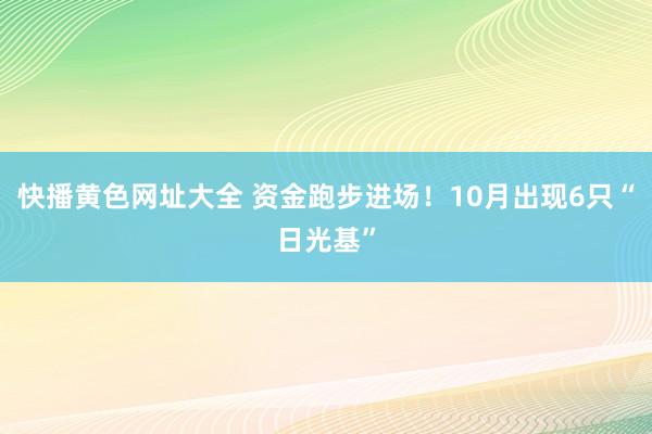 快播黄色网址大全 资金跑步进场！10月出现6只“日光基”