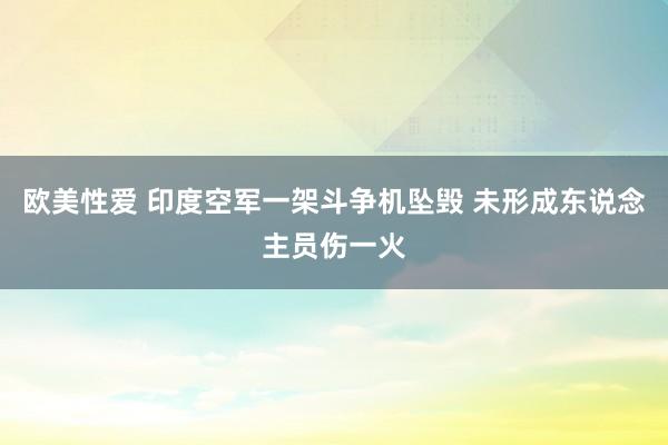 欧美性爱 印度空军一架斗争机坠毁 未形成东说念主员伤一火