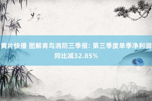 黄片快播 图解青鸟消防三季报: 第三季度单季净利润同比减32.85%