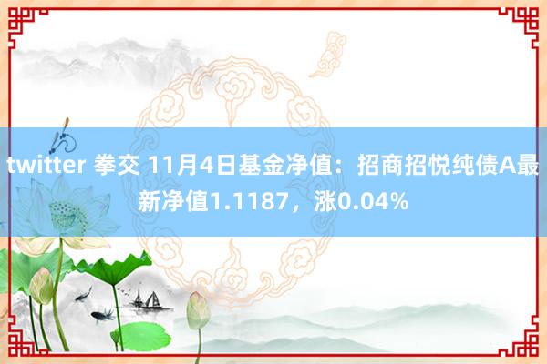 twitter 拳交 11月4日基金净值：招商招悦纯债A最新净值1.1187，涨0.04%