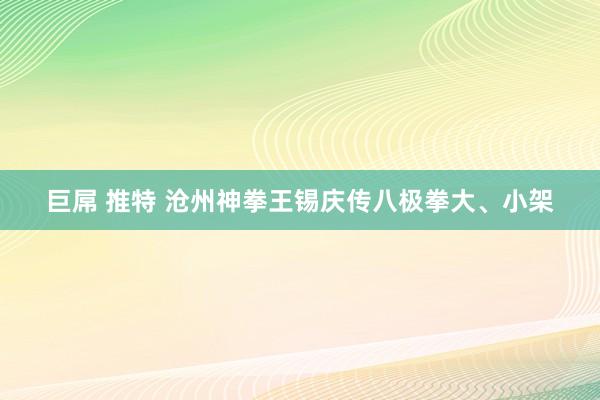 巨屌 推特 沧州神拳王锡庆传八极拳大、小架